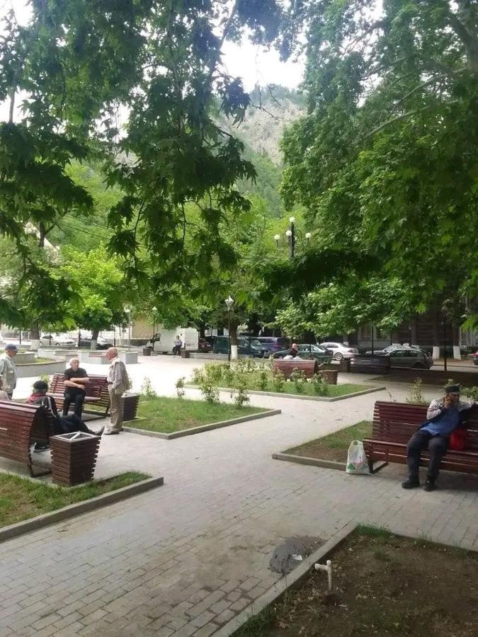 Ananiko Apartment Borjomi Exterior photo