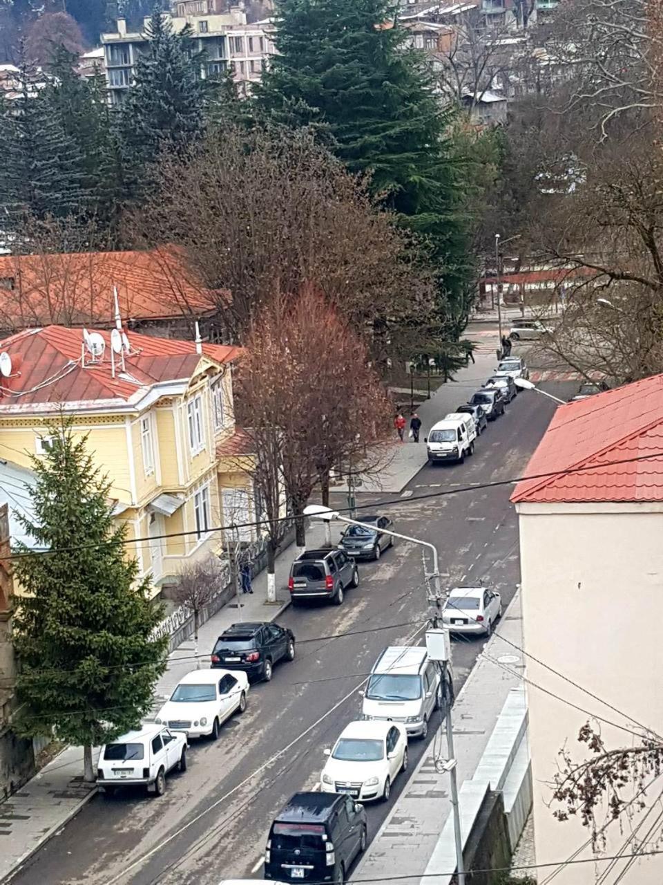 Ananiko Apartment Borjomi Exterior photo
