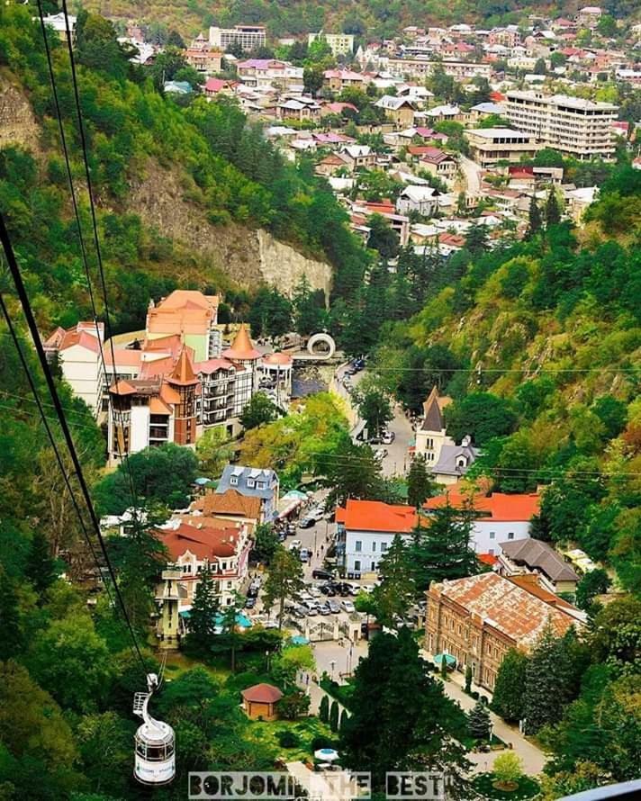 Ananiko Apartment Borjomi Exterior photo