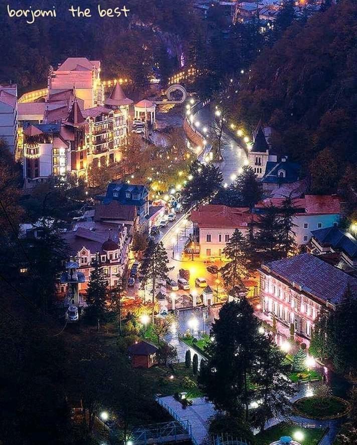 Ananiko Apartment Borjomi Exterior photo